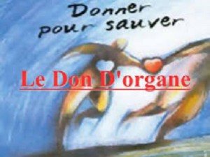 don d'organes 2