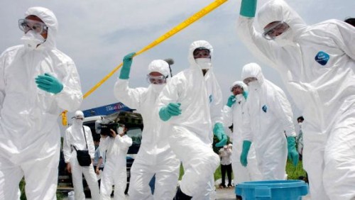 Vietnam : découverte d’un foyer de grippe aviaire A/H5N6 au nord du pays