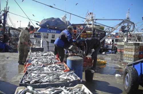 Produits de la pêche : 1,3 million de tonnes commercialisées en 2017 en première vente