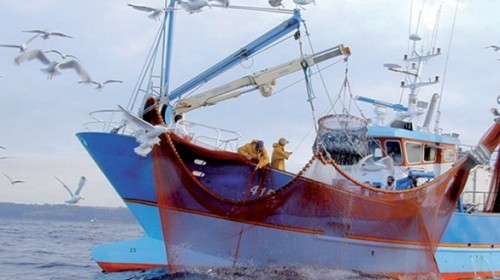 Tanger: La Fédération des Chambres de pêches maritimes approuve son plan d'action 2018