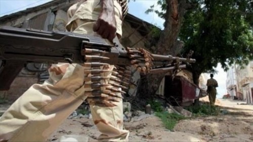 Somalie: L'armée tue sept éléments du groupe Al-Shebab dans le sud