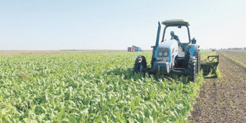 PMV à Ifrane : Traitement de plus de 5.900 dossiers agricoles d’un investissement de 262 MDH