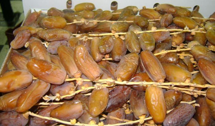 Marrakech: Saisie d’environ 14 tonnes de dattes impropres à la consommation