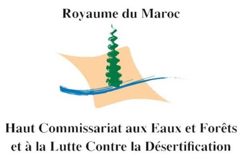 Le HCEFLCD dément tout "crime environnemental" contre la flore à Laâyoune Sidi Mellouk
