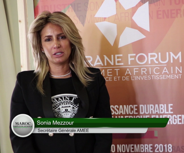 Interview - Sonia Mezzour: La politique énergétique du Maroc peut être répliquée ailleurs en Afrique