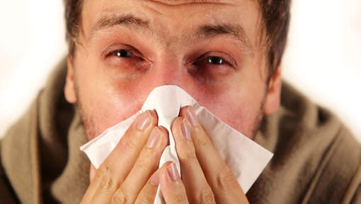 L'épidémie de grippe