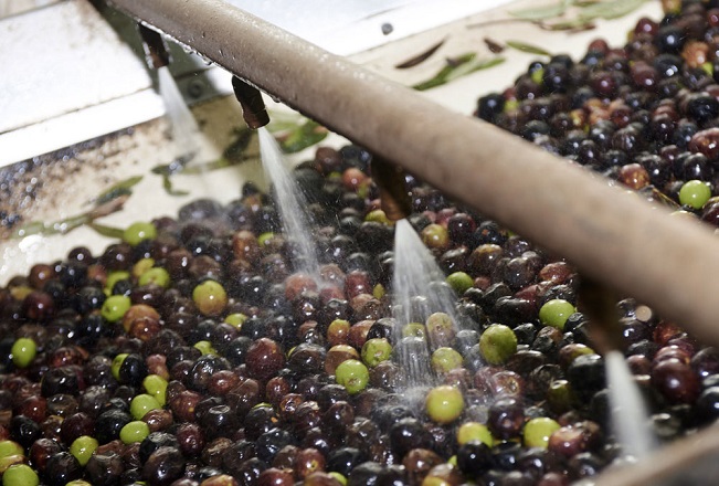 trituration d’olives