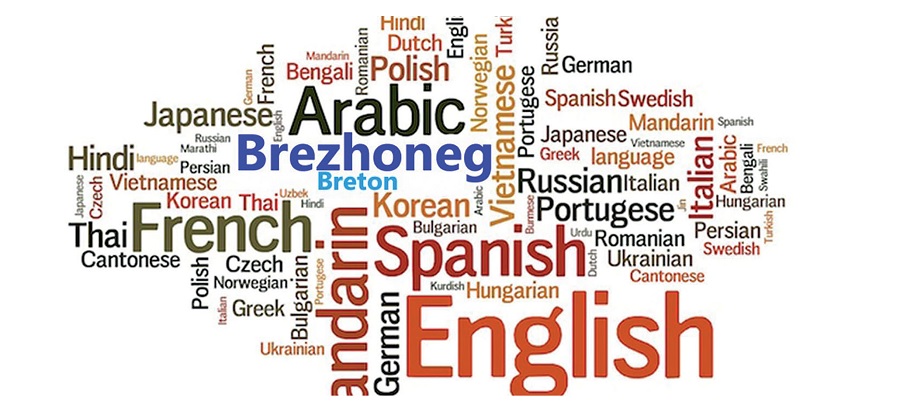 Polémiques concernant les langues : L'aménagement linguistique