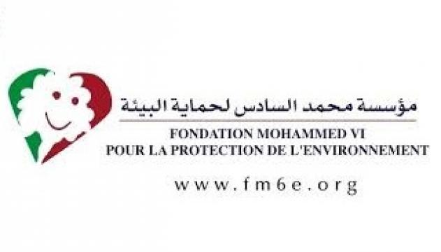 Fondation Mohammed VI