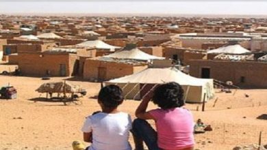 camps de Tindouf