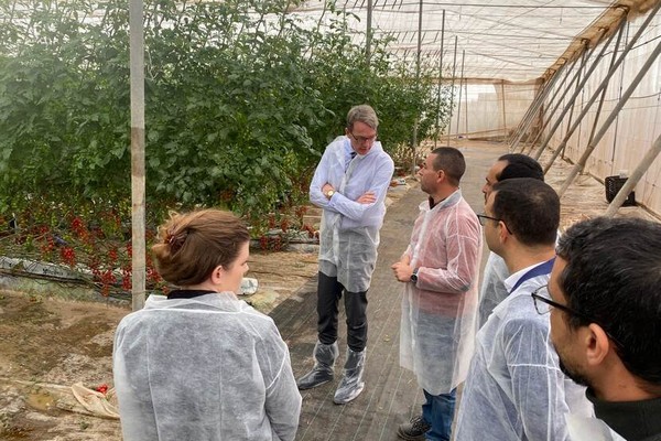 L'ambassadeur des Pays Bas au Maroc en serre avec des tomates cerises près d'Agadir