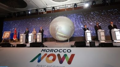 Morocco_Now_Korea2