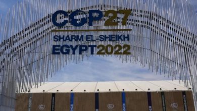 COP 27