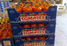 tomates