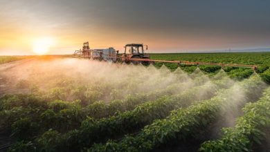 La France condamnée pour l'utilisation des pesticides