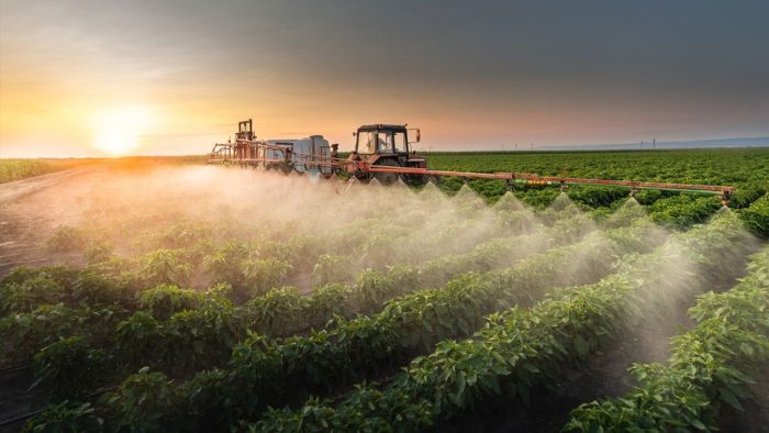 La France condamnée pour l'utilisation des pesticides