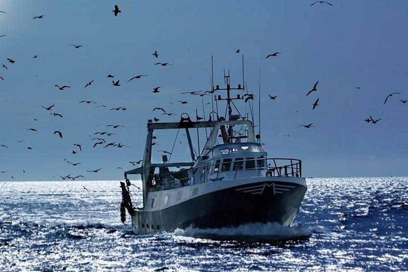 Ports situés sur la Méditerranée: Baisse de 13% des débarquements de pêche à fin août