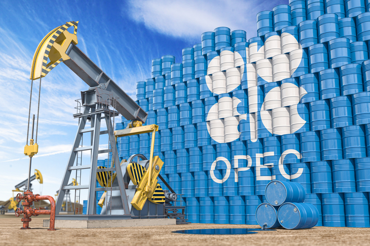 The UAE is committed to working with OPEC+ to ensure the stability of the global oil market