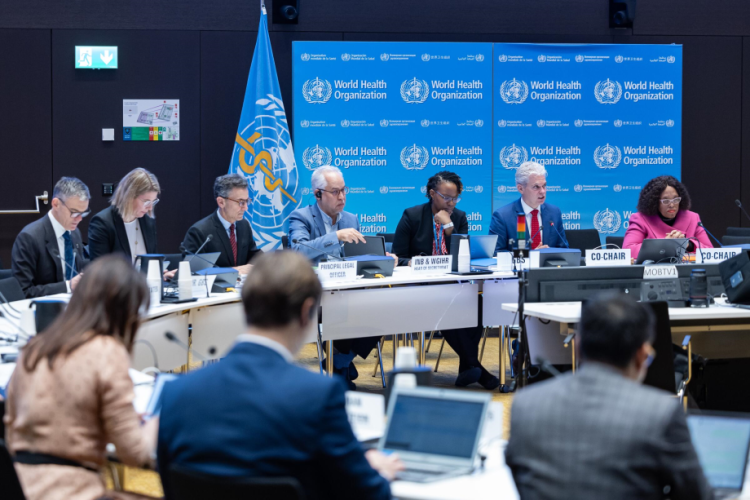 Towards the continuation of negotiations for the finalization of the global agreement on pandemics
