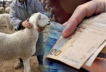 Aïd Al Adha - prix des moutons