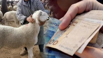 Aïd Al Adha - prix des moutons