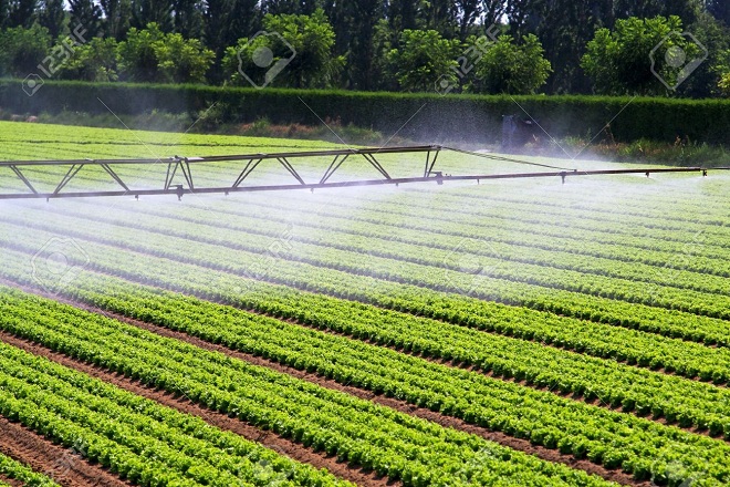 irrigation