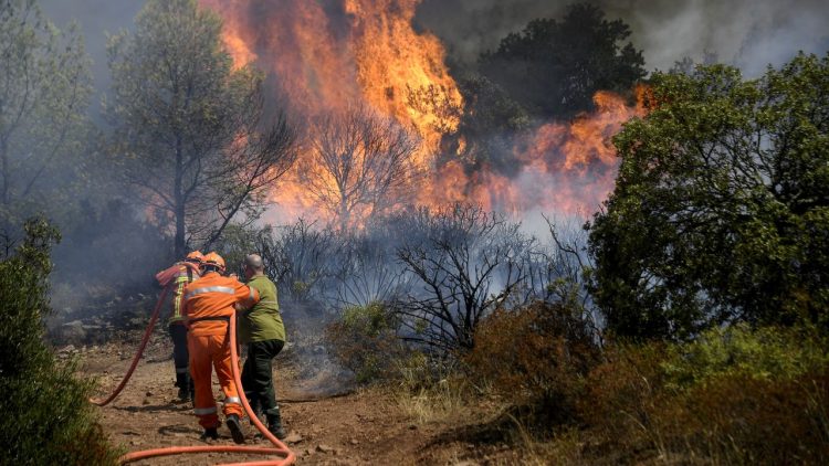 Les feux de forêt seront de plus en plus fréquents au Canada