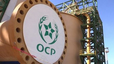 OCP