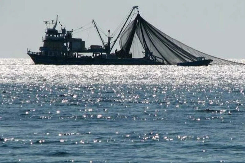 Port de M’diq: Baisse de 24% des débarquements de pêche à fin septembre