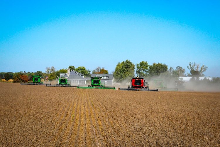 Nouvelle campagne agricole sous la pression des coûts des intrants