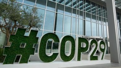 COP29