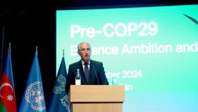 COP29