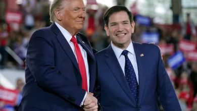 Trump nomme Marco Rubio