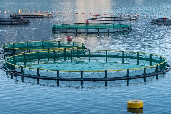 aquaculture