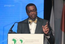 Akinwumi Adesina,