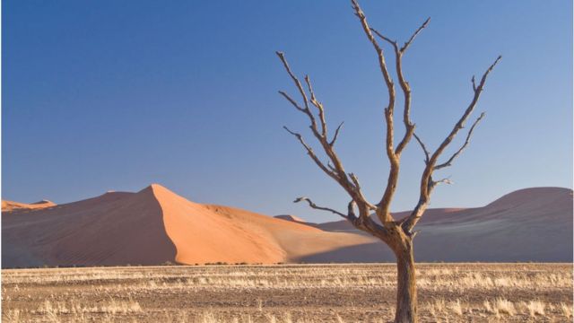 Le Maroc participe à Riyadh à la COP16 sur la lutte contre la désertification