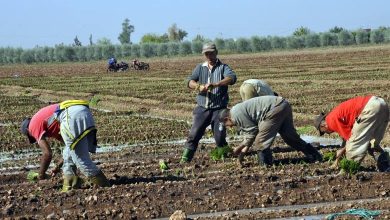 agriculteurs