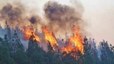 incendies