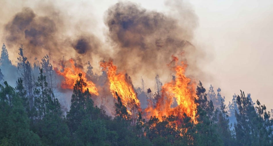 incendies